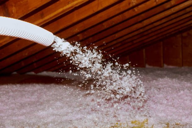 Trusted Monona, IA Insulation Contractor Experts