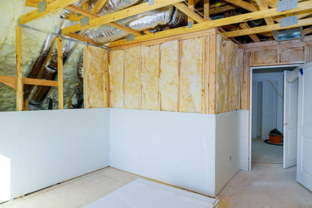 Insulation Repair Services in Monona, IA